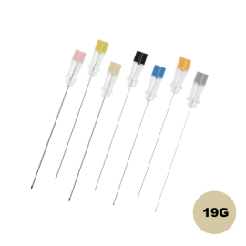 Ace spinale 19G