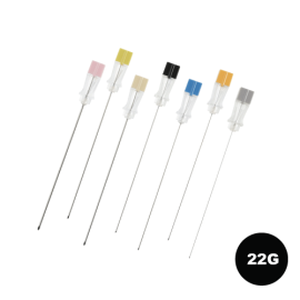 Ace spinale 22G